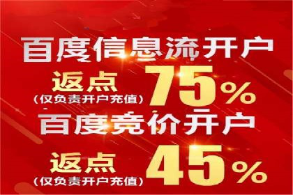 成功运用SEM服务实现品牌推广的案例分析